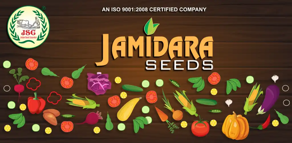 Play jamidara seeds as an online game jamidara seeds with UptoPlay