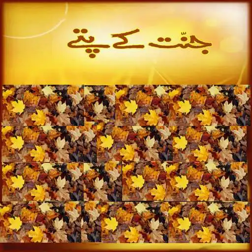 Free play online Jannat k Patty(Complete!) APK