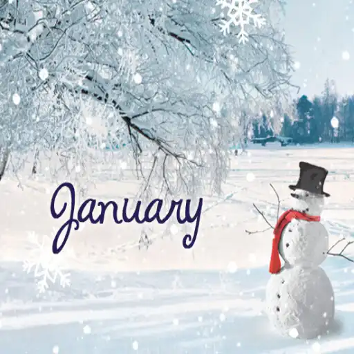 Play January APK Play January APK