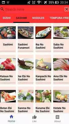 Play Japanese Cuisine Book