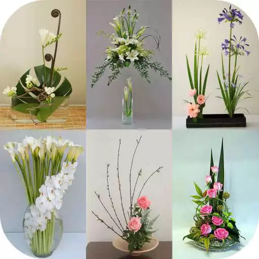 Free play online Japanese Flower Arrangement APK Free play online Japanese Flower Arrangement APK