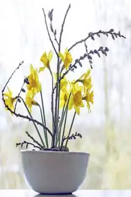 Play Japanese Flower Arrangement