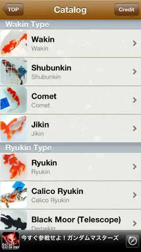 Play Japanese Goldfish