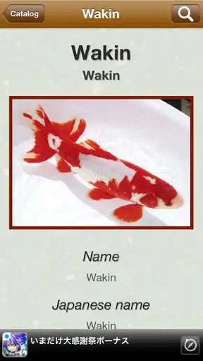 Play Japanese Goldfish