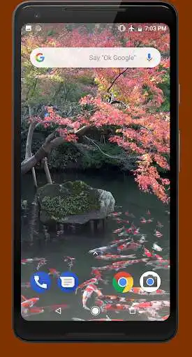 Play Japanese Pond with Koi Video Wallpaper