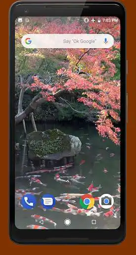 Play Japanese Pond with Koi Video Wallpaper