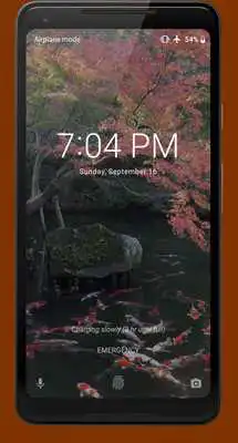 Play Japanese Pond with Koi Video Wallpaper