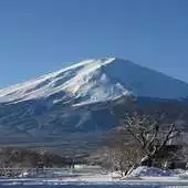 Free play online Japanese Sound Koto APK