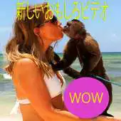 Free play online Japan Funny Videos APK Free play online Japan Funny Videos APK