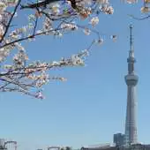 Free play online Japan:Tokyo Skytree APK Free play online Japan:Tokyo Skytree APK