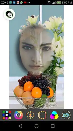 Play Jasmine Flowers Photo Frame