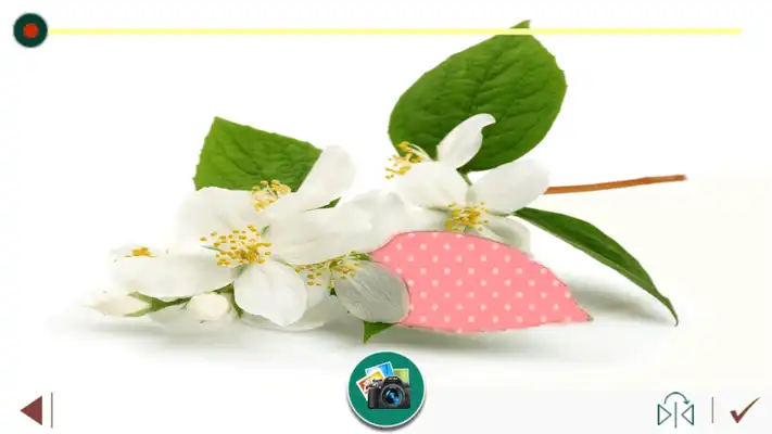 Play Jasmine Flowers Photo Frame