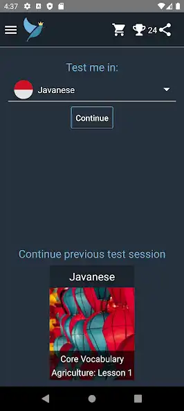 Play Javanese Language Tests  and enjoy Javanese Language Tests with UptoPlay