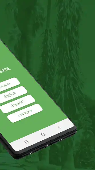 Play JBT - JARDIM BOTÂNICO TROPICAL as an online game JBT - JARDIM BOTÂNICO TROPICAL with UptoPlay
