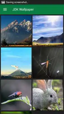 Play JDK Wallpapers Play JDK Wallpapers