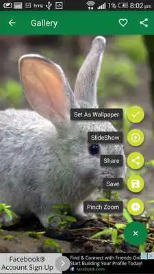 Play JDK Wallpapers Play JDK Wallpapers