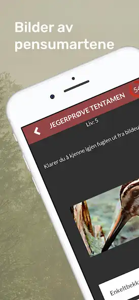 Play Jegerprøvetentamen (JaktQuiz) as an online game Jegerprøvetentamen (JaktQuiz) with UptoPlay