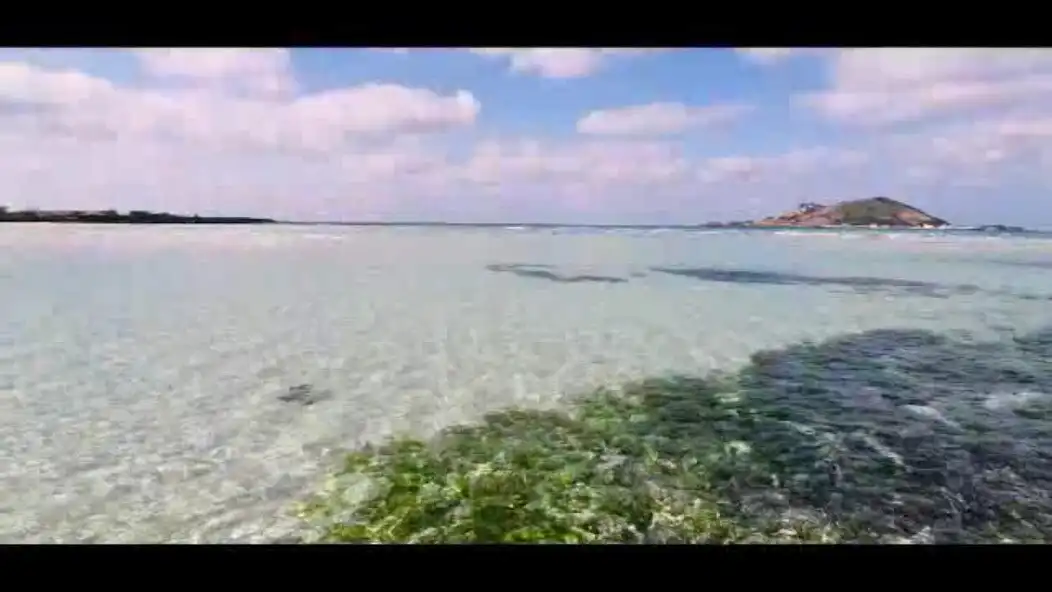 Play Jeju island sea as an online game Jeju island sea with UptoPlay