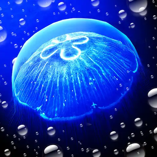 Play Jellyfish - Appreciation APK Play Jellyfish - Appreciation APK