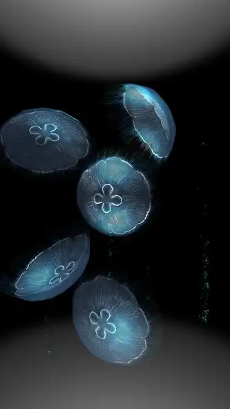 Play Jellyfish -  Appreciation as an online game Jellyfish -  Appreciation with UptoPlay