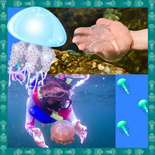 Free play online Jellyfish Photo Collage  APK