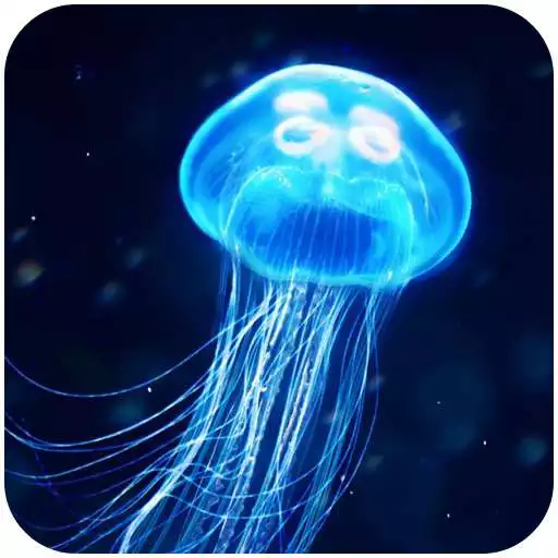 Play Jellyfish Wallpaper HD APK