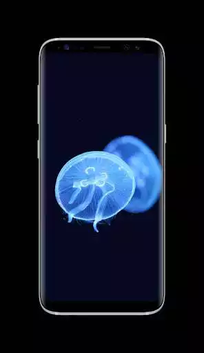 Play Jellyfish Wallpaper HD as an online game online Jellyfish Wallpaper HD with UptoPlay com.Agroplansoft.JellyfishWallpaperHDxxxx Play Jellyfish Wallpaper HD as an online game Jellyfish Wallpaper HD with UptoPlay