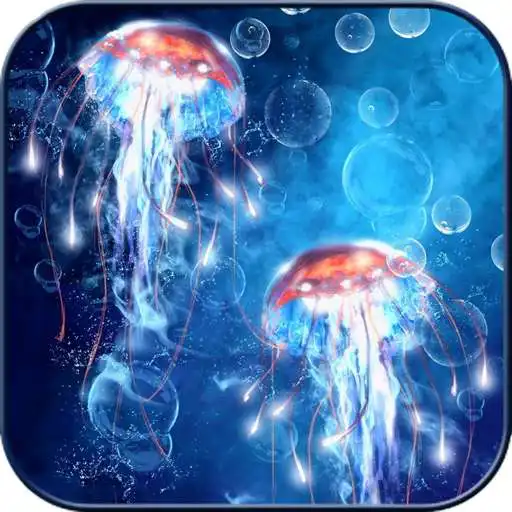 Play Jellyfish Wallpapers HD APK
