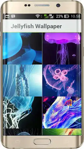 Play Jellyfish Wallpapers HD as an online game Jellyfish Wallpapers HD with UptoPlay