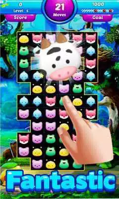 Play Jelly Pet  Candy Sweet 2018