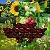 Free play online Jenis Tanaman Obat Herbal Lengkap Dari A- Z APK Free play online Jenis Tanaman Obat Herbal Lengkap Dari A- Z APK