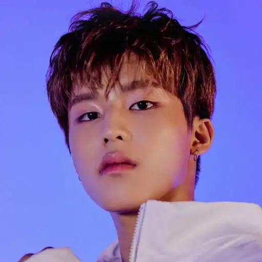 Play Jeongwoo Animated WASticker APK