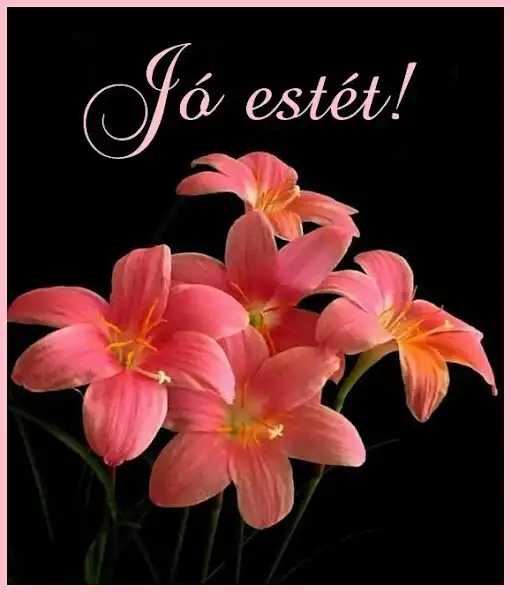 Play Jó estét Jó éjszakát  and enjoy Jó estét Jó éjszakát with UptoPlay