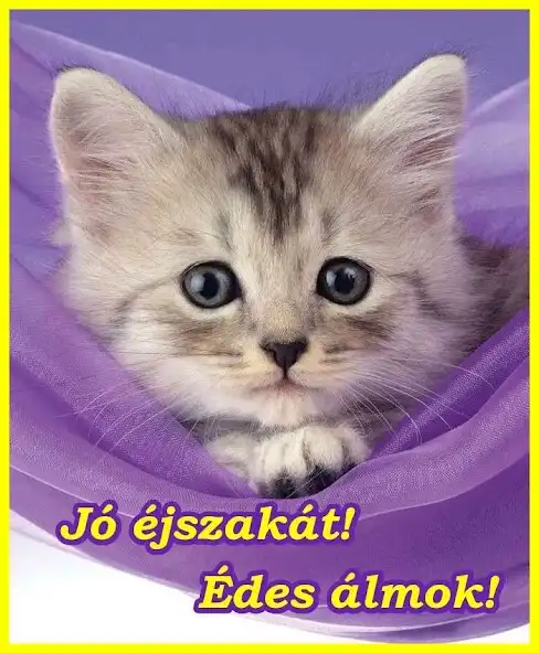 Play Jó estét Jó éjszakát as an online game Jó estét Jó éjszakát with UptoPlay