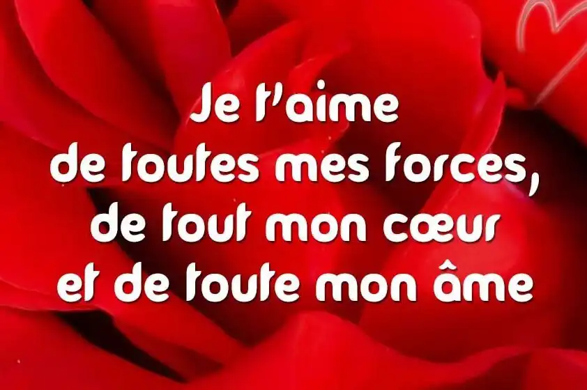 Play JE Taime MON Amour 2023  and enjoy JE Taime MON Amour 2023 with UptoPlay