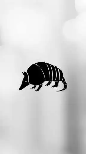 Play J&G ARMADILLO TAX SERVICE, LLC  and enjoy J&G ARMADILLO TAX SERVICE, LLC with UptoPlay