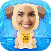 Free play online JibJab Photo Cards APK