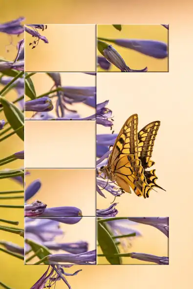 Play Jigsaw Deluxe - Puzzle Game  and enjoy Jigsaw Deluxe - Puzzle Game with UptoPlay