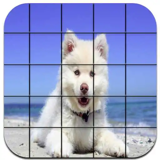 Play Jigsaw - Dogs APK