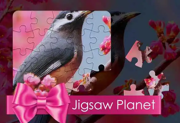 Play Jigsaw Planet