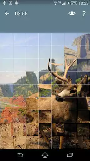Play Jigsaw Puzzle: Animals