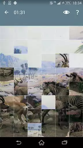 Play Jigsaw Puzzle: Animals
