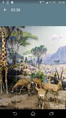 Play Jigsaw Puzzle: Animals