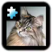Free play online Jigsaw Puzzle: Cat APK Free play online Jigsaw Puzzle: Cat APK