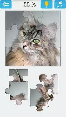 Play Jigsaw Puzzle: Cat