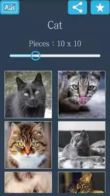 Play Jigsaw Puzzle: Cat