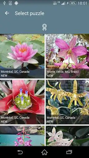 Play Jigsaw Puzzle: Flowers  and enjoy Jigsaw Puzzle: Flowers with UptoPlay