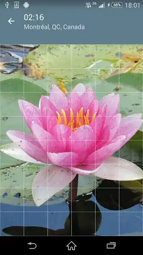 Play Jigsaw Puzzle: Flowers as an online game Jigsaw Puzzle: Flowers with UptoPlay
