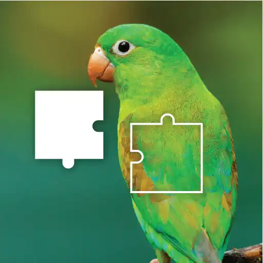Play Jigsaw Puzzle Jigsaw Challenge APK Play Jigsaw Puzzle Jigsaw Challenge APK