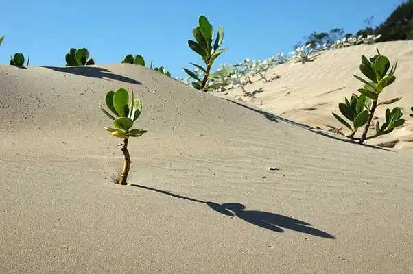 Play Jigsaw Puzzle Landscape